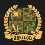 Бильярдный клуб Абриколь