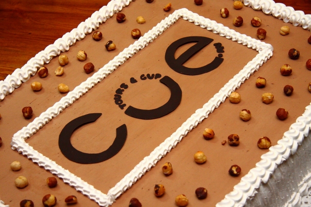 Кубок СТС сезона 2010-2011