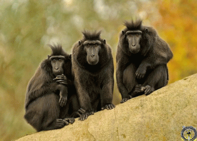 3. Дважды проходные