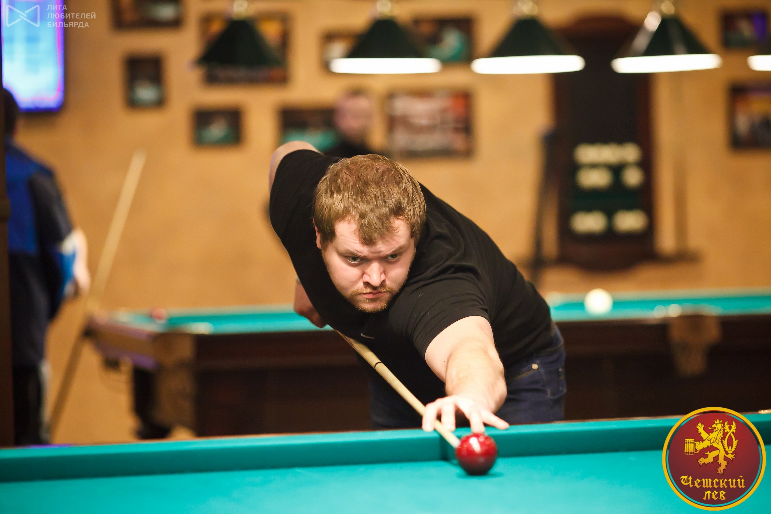 чешский лев старый оскол. лев старый оскол. лев старый оскол. париж старый оскол чешский лев. париж старый оскол чешский лев.