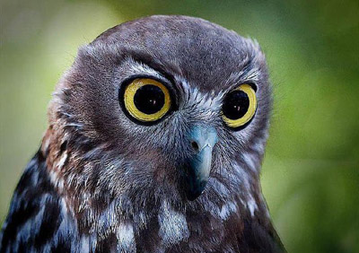 4. Как это "четверка"???