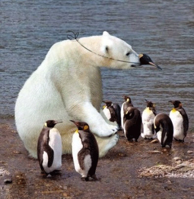 5. Да нолик я, нолик!